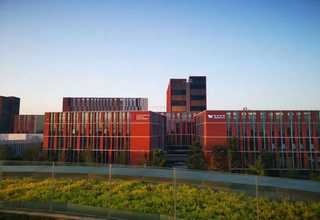 绍兴交流接地开关批发